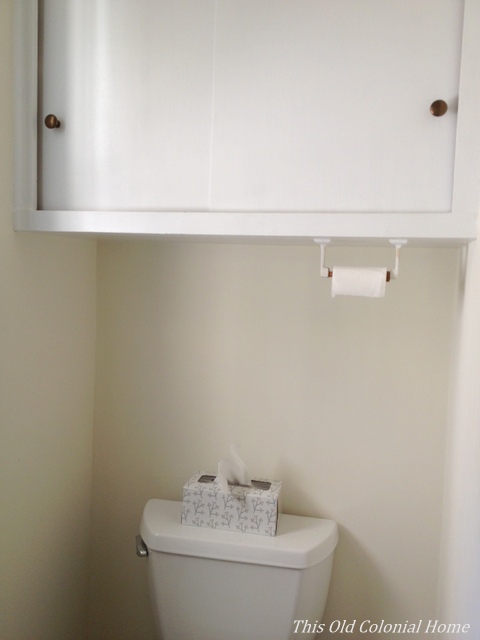 cabinet above toilet with paper holder